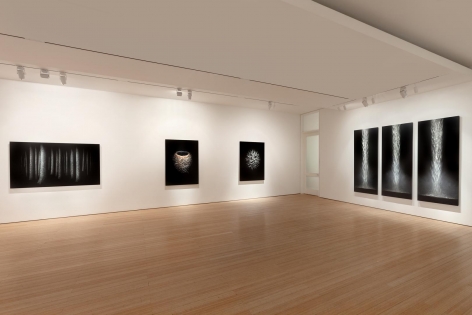 Gallery View I