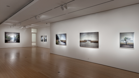  Gallery View 2016