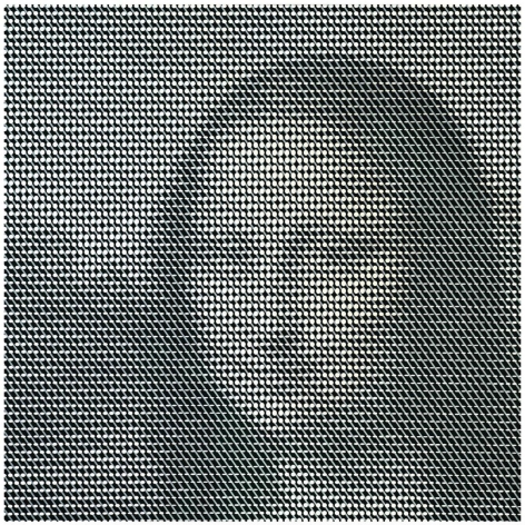 Mona at the Speed of Light IV