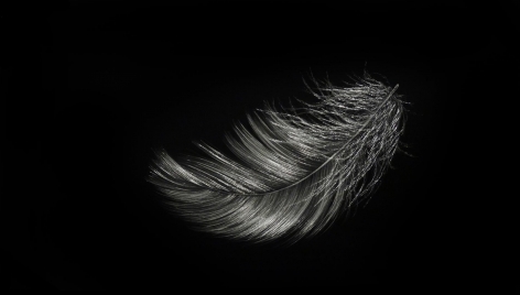 Feather VI incised painted aluminum