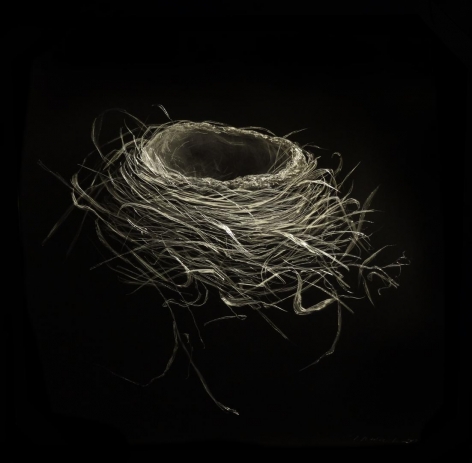 Robin Nest IV